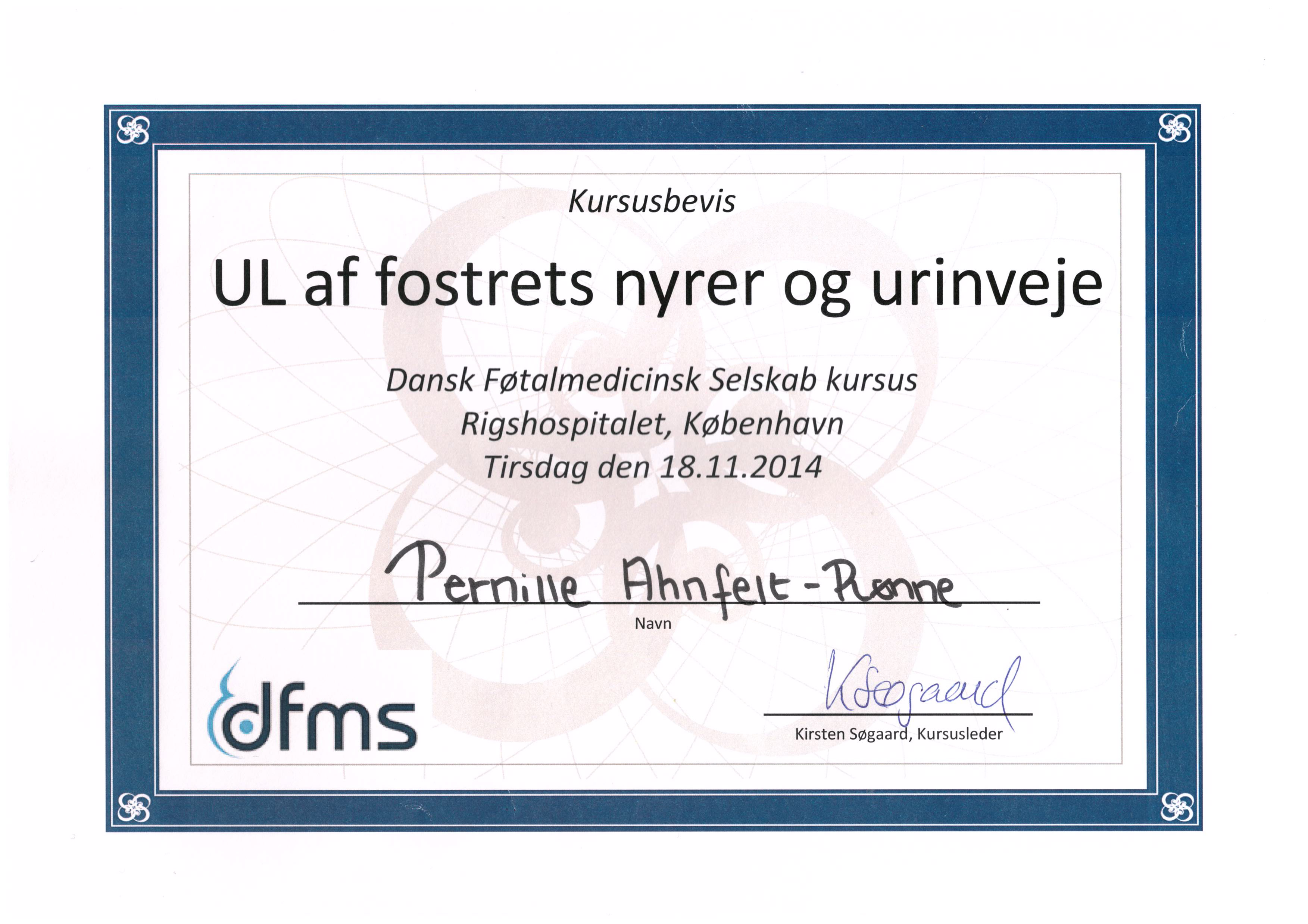 Nyrer og urinveje