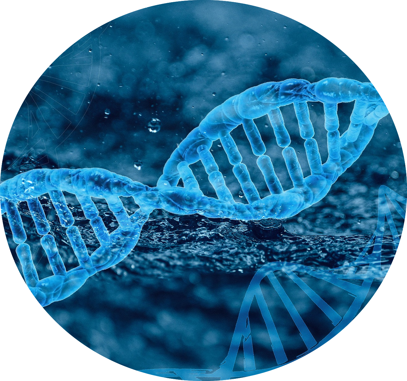dna-5695421_1920