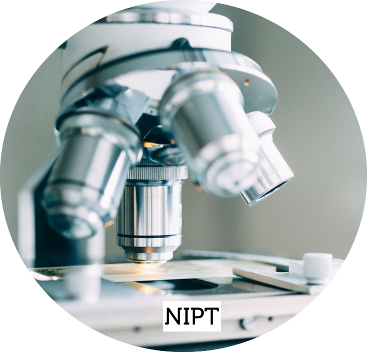 NIPT