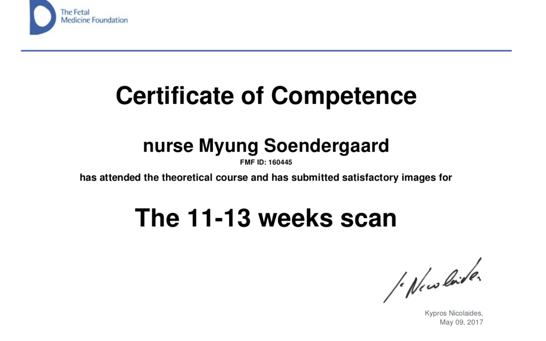 myung-1.-trimester-2